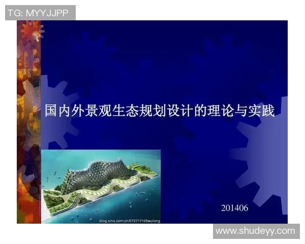 重庆攀岩队的战术创新与转换体系探讨与实践分析